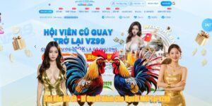 Soi Kèo Đá Gà – Bí Quyết Dành Cho Người Mới Tại VZ99