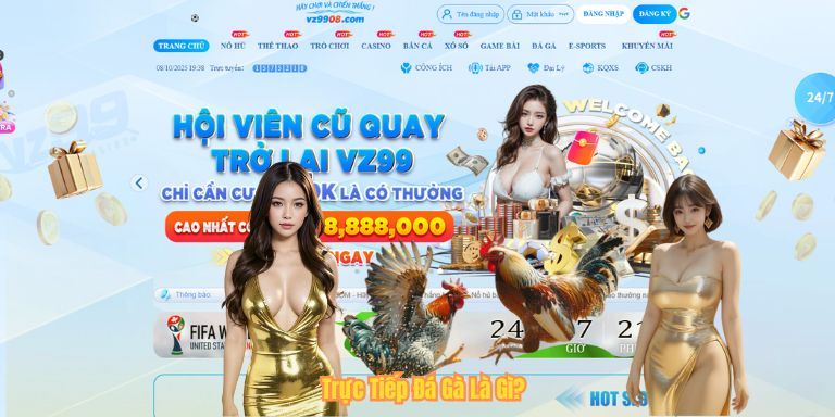 Trực Tiếp Đá Gà – Sân Chơi Cá Cược Sôi Động Tại VZ99 Trực Tiếp Đá Gà Là Gì?